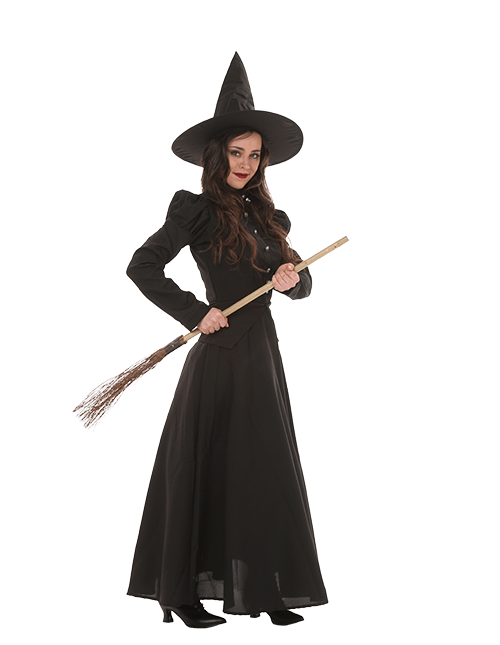 Women's Deluxe Witch Costume